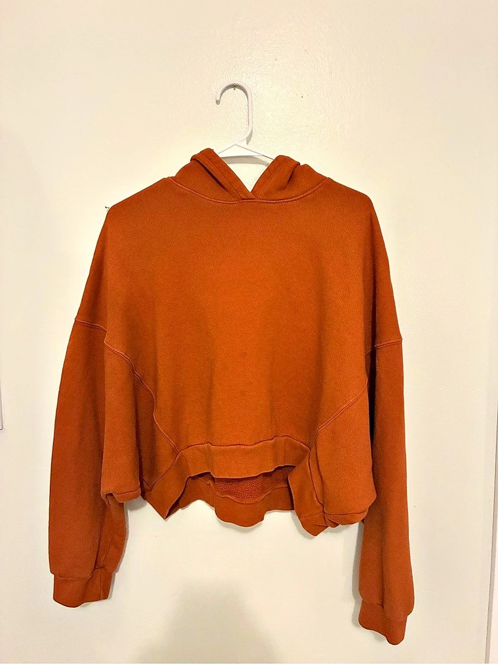 Sundry Sherpa Hoodie in Brown Size Small Like New